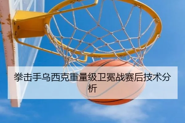 拳击手乌西克重量级卫冕战赛后技术分析